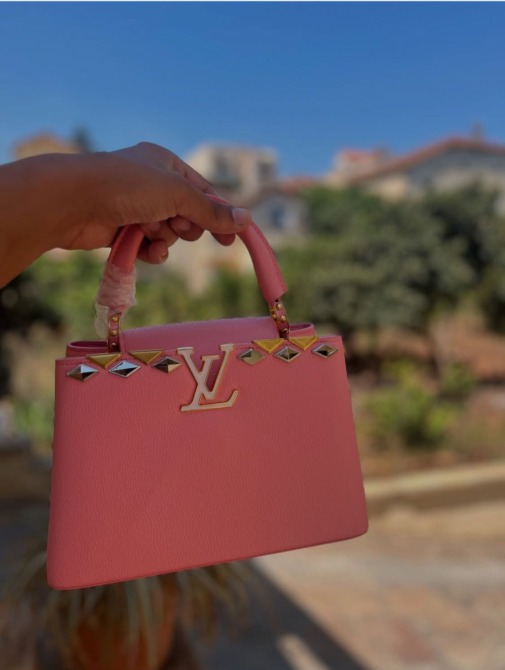 Louis Vuitton Hand Bag