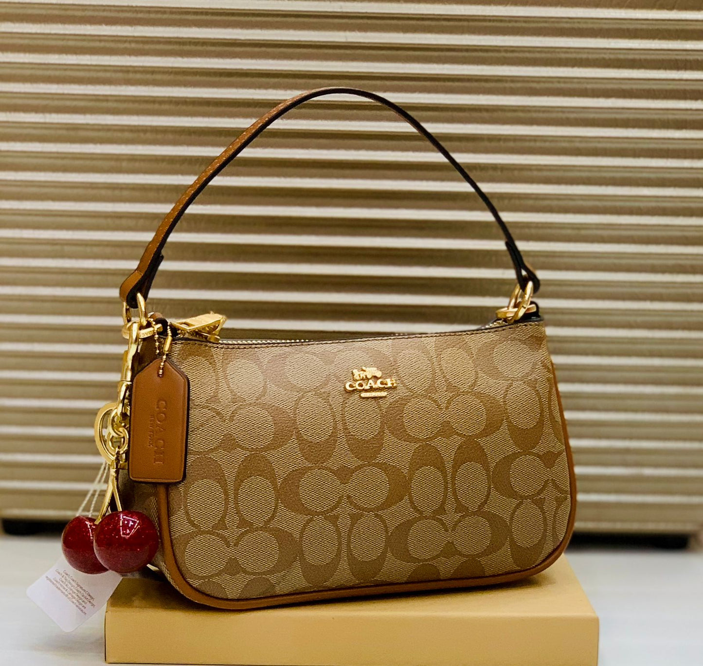 Coach Shoulder Bag