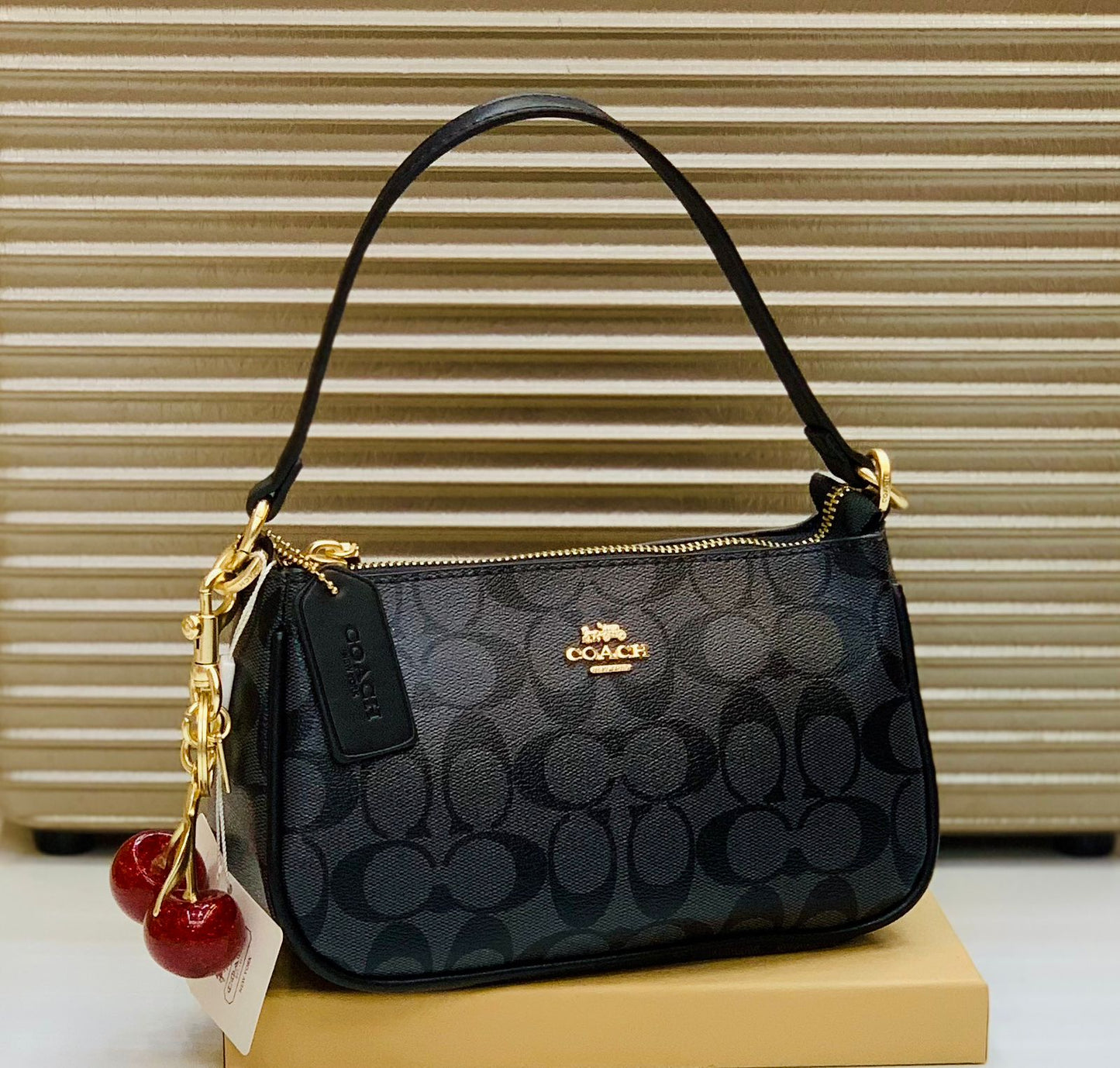 Coach Shoulder Bag