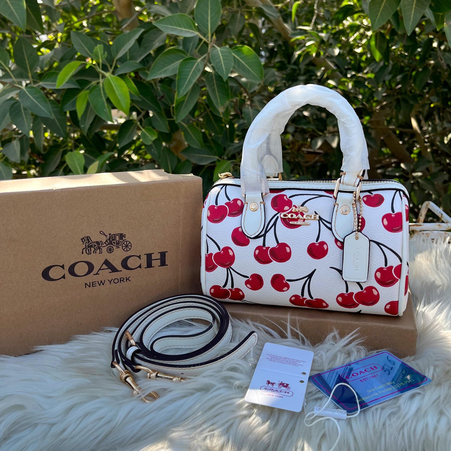 Coach Cross Body Bag