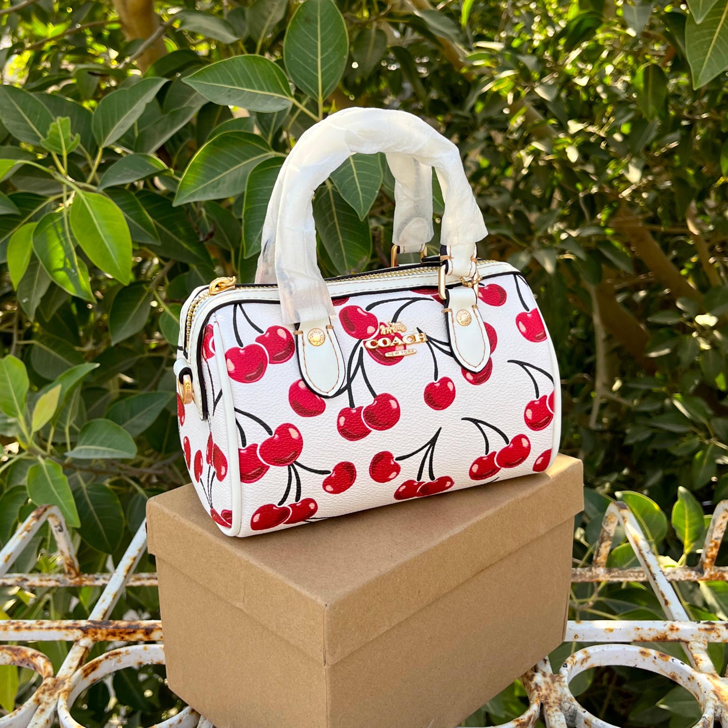 Coach Cross Body Bag